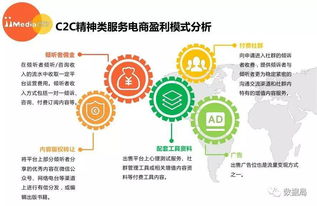 2017上半年中國精神類服務電商市場研究報告 信息咨詢服務分析